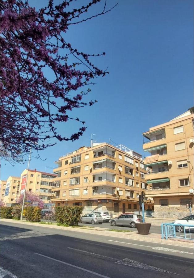 Sidi Ifni 7-9-2 Apartman Alicante Kültér fotó